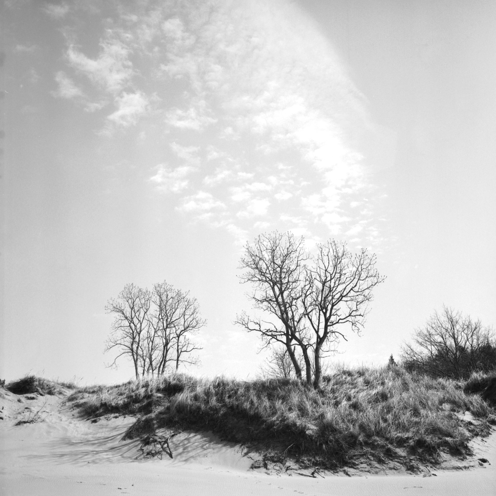 Untitled